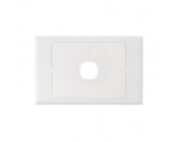 1 Port Faceplate